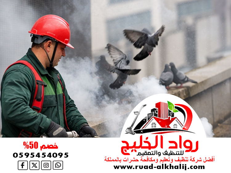 شركة مكافحة الحمام بجدة