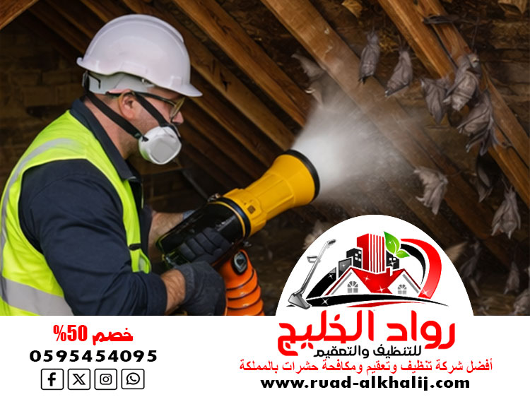 شركة مكافحة الخفافيش بجدة