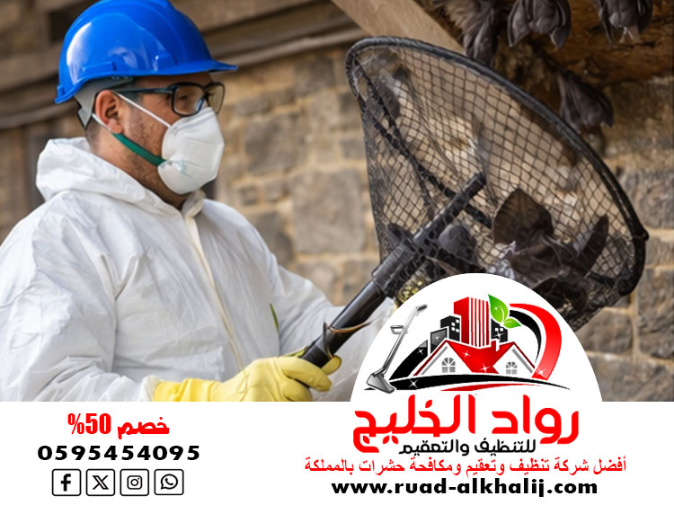 شركة مكافحة الخفافيش بجدة
