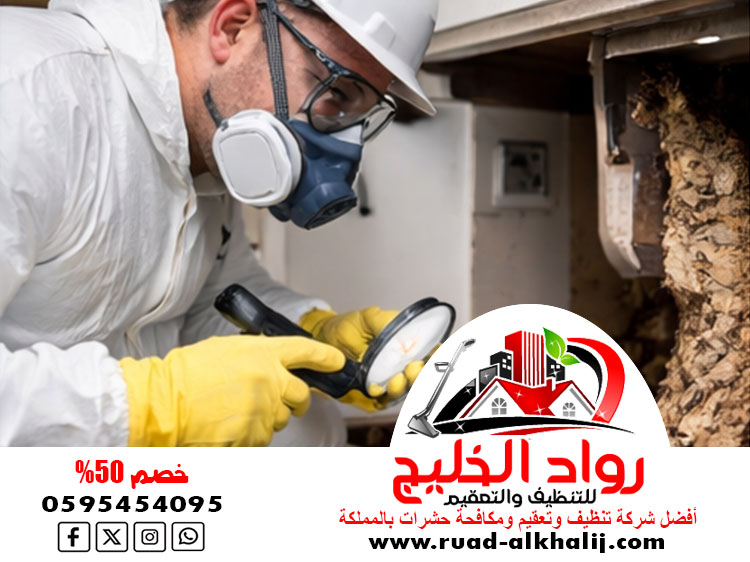 شركة مكافحة الربية بمكة