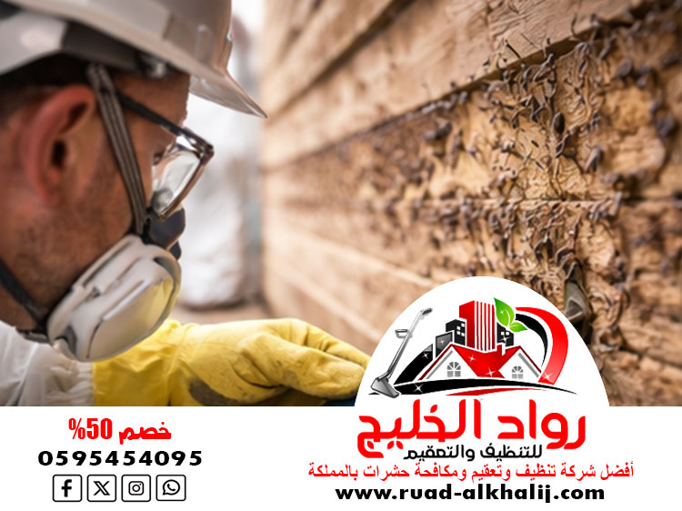 شركة مكافحة الربية بمكة