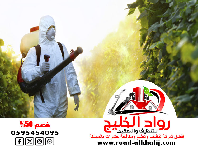 شركة مكافحة الربيه بجدة