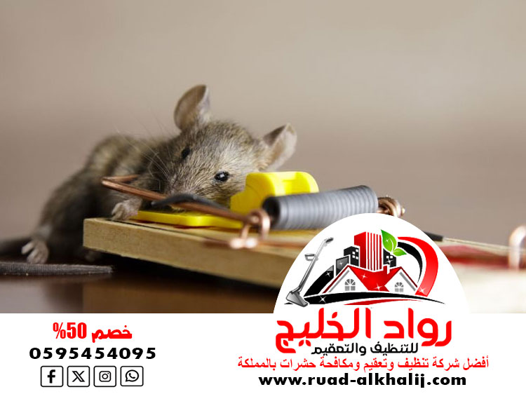 شركة مكافحة الفئران بالليث