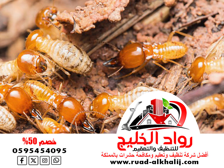 شركة مكافحة النمل الابيض بالليث