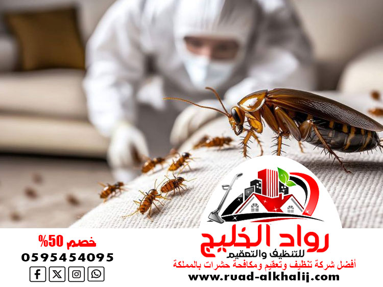شركة مكافحة حشرات بالكويت