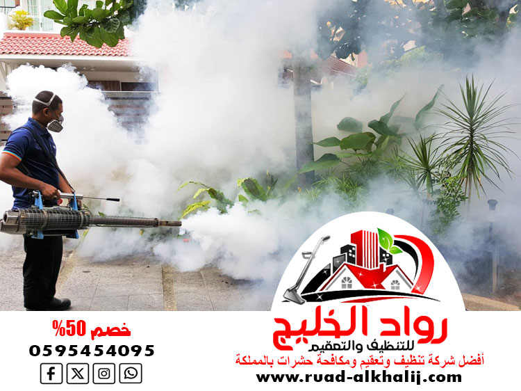 شركة مكافحة حشرات حي الجامعة