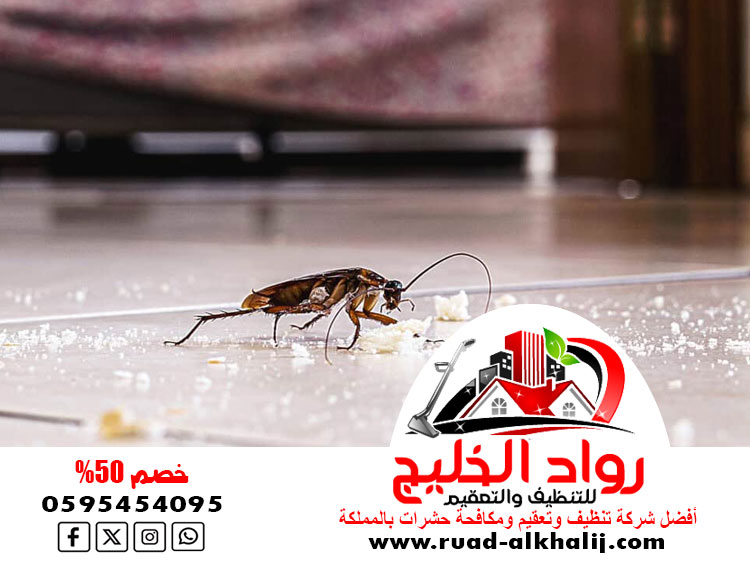 شركة مكافحة حشرات حي المرجان
