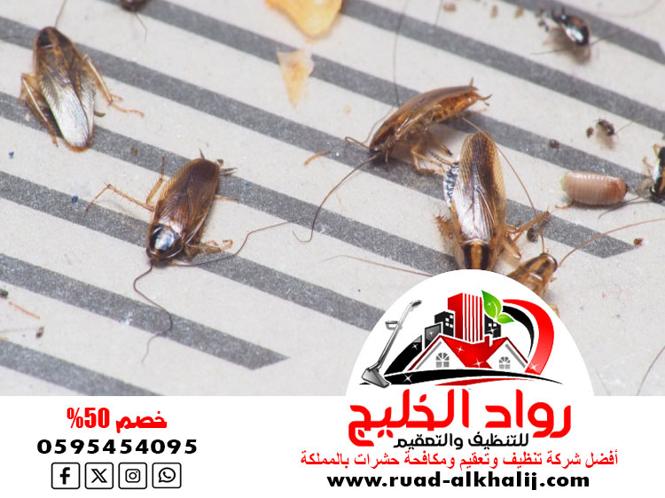 شركة مكافحة صراصير بالليث