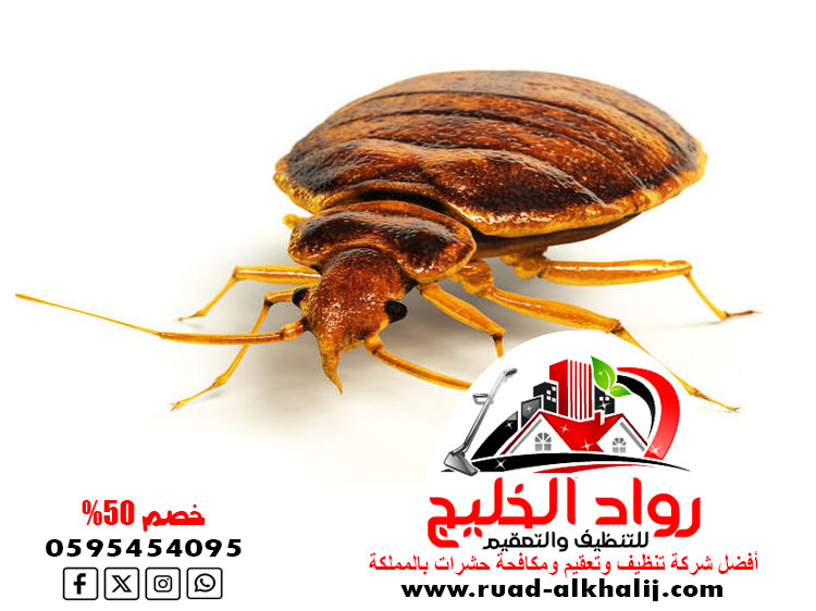 شركه رش بق بجدة