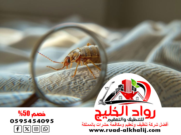 شركه رش بق بجدة