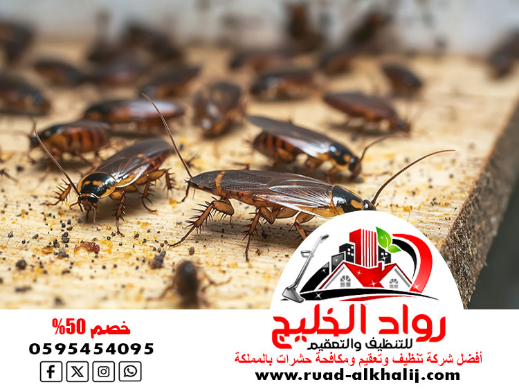 شركه رش صراصير بجدة