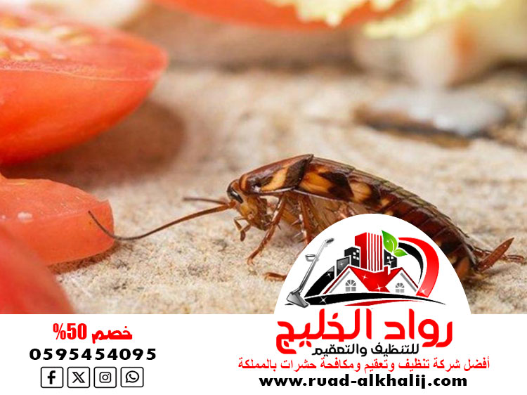 شركه رش صراصير بجدة