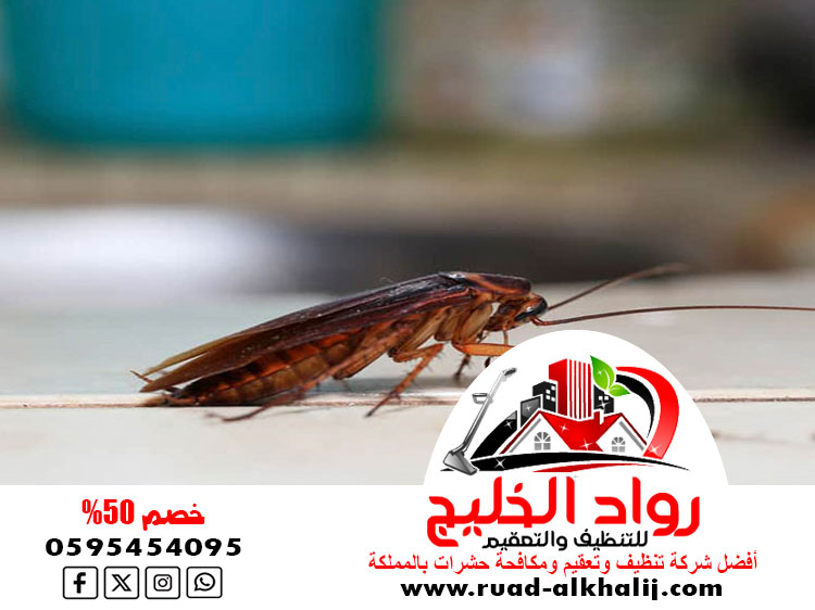 شركه رش صراصير بجدة