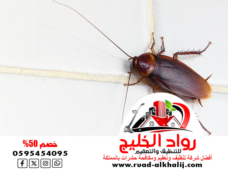 شركه رش صراصير بجدة