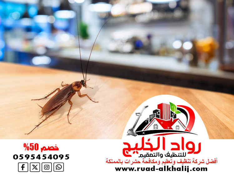 شركه رش صراصير بجدة