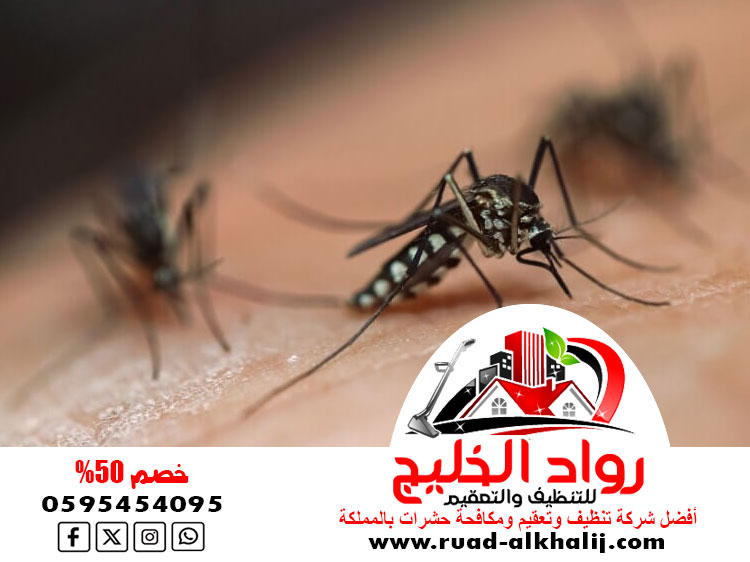 شركه مكافحه الناموس والبعوض بجدة