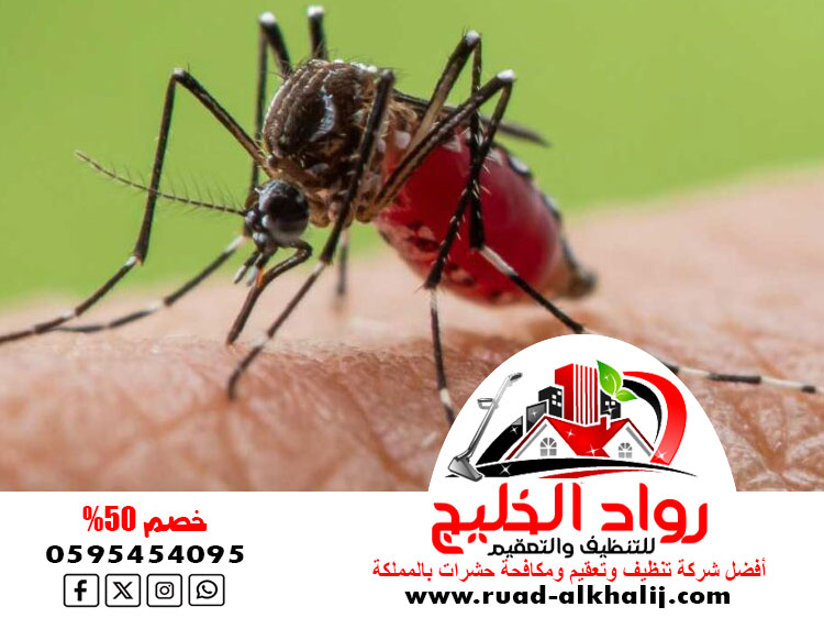 شركه مكافحه الناموس والبعوض بجدة
