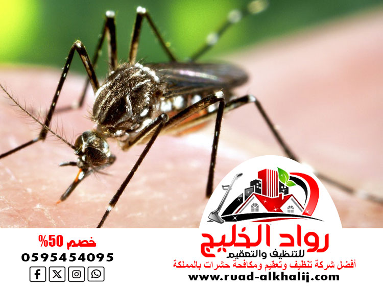 شركه مكافحه الناموس والبعوض بجدة