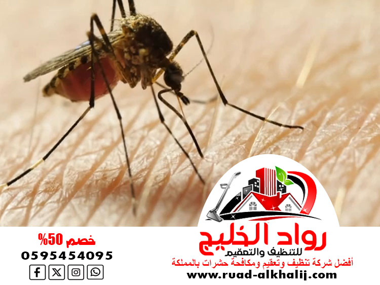 شركه مكافحه الناموس والبعوض بجدة