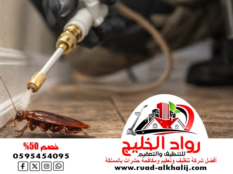شركة مكافحة حشرات في مكة