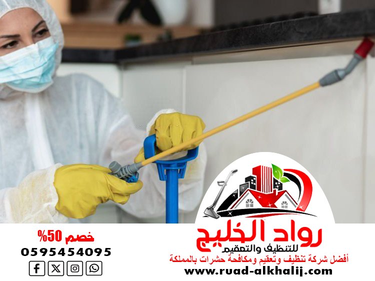 شركة مكافحة حشرات في مكة