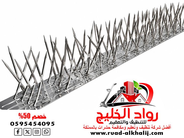 شركة مكافحة الحمام بجدة