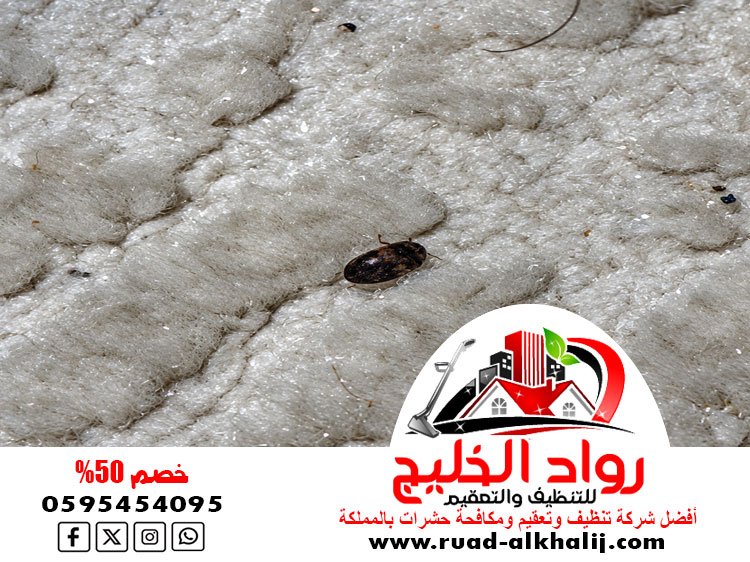 شركة مكافحة بق الفراش بجدة