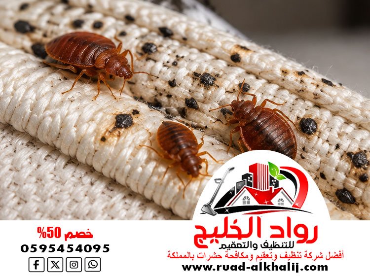 شركة مكافحة بق الفراش بجدة