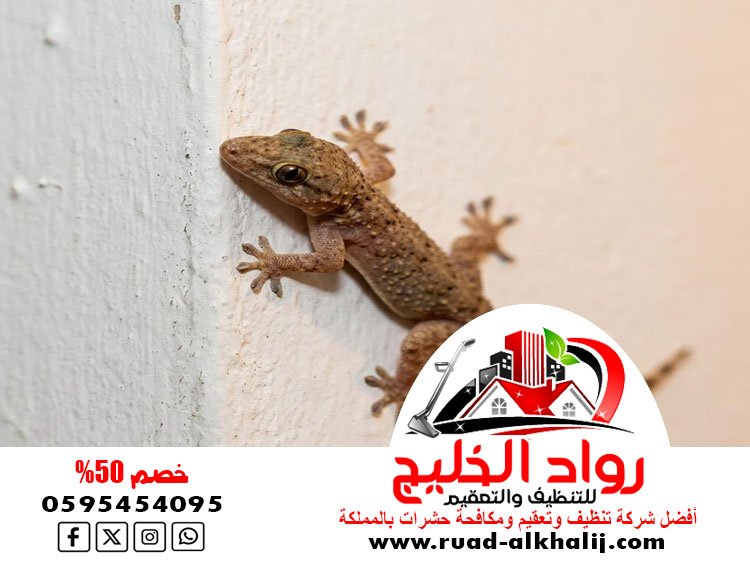شركة مكافحه الوزغ